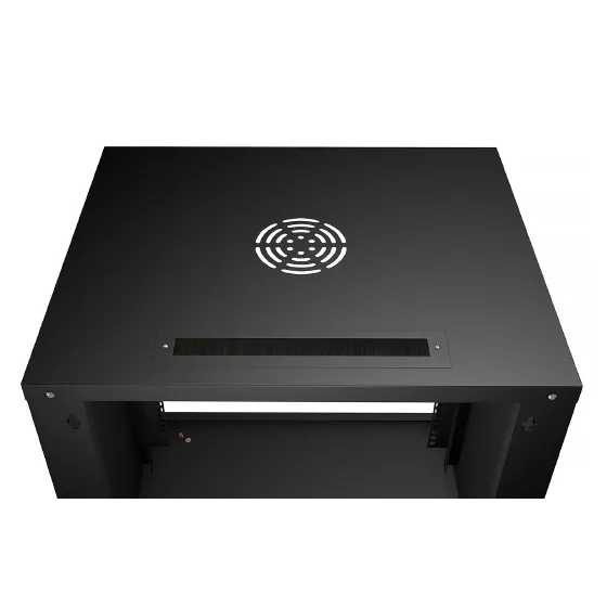 Щеточный ввод и вентиляция шкафа WSC-05D-12U55/45m-BK Cabeus